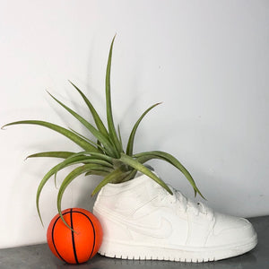 Air Jordan 1 Sneaker Plant Pot / Planter